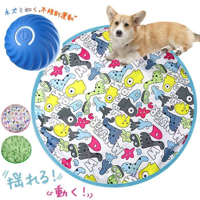 ポケモン 韓国 ロッテワールド 限定 マグネット ピカチュウ 他 超レア品】ポケモン 韓国ロッテワールド 限定マグネット