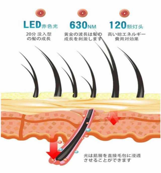 送料無料】育毛ヘルメット育毛キャップ 育毛システム120個 赤色 led 育毛 赤色光 育毛ヘルメット スカルプケア 治療ライト 育毛ケア  薄毛・抜け毛対策 発毛促進 植毛補強 増毛 発毛 養毛 頭皮ケア ヘアケア 脱毛 薄毛治療 毛髪ケアトの通販はau PAY マーケット - モダニク  ...