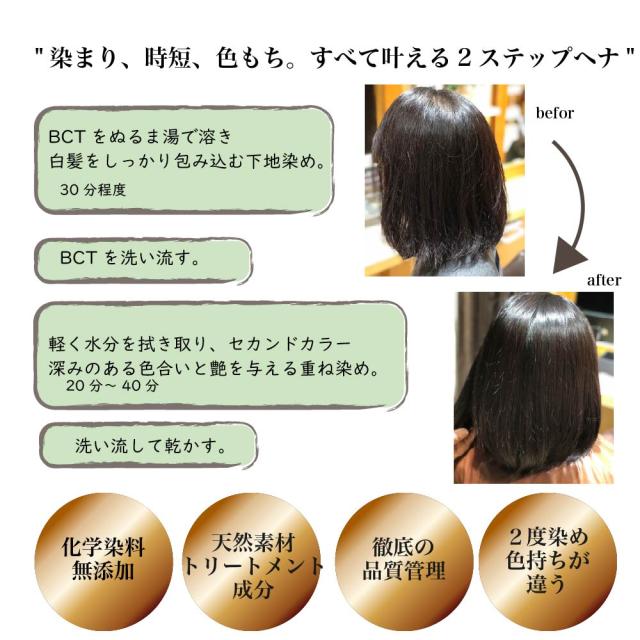 【未開封】ヘナ・白髪染め9袋 naiad 白髪染め 無添加 ナイアード ヘナ＋木藍 黒 400g 購入金額