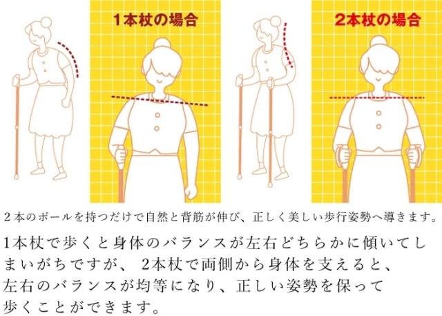 ウォーキングポール シナノ もっと安心2本杖 ノルディック ウォーキングポール  高齢者 ステッキ 長さ調節可能 滑りにくい 杖先ゴム ウォーキング用 足 歩行サポート トレーニング 健康器具 猫背矯正 転倒予防