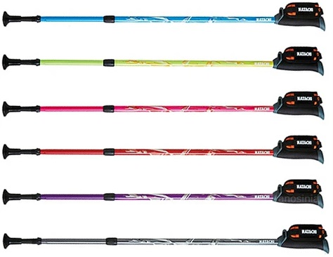 ハタチ HATACHI DFP プログレッシブズーム 羽立工業 2本1組 ノルディックウォーキングポール 高齢者 初心者 ステッキ 伸縮式 長さ調節可能 ひざ 膝 腰 負担軽減 2本杖 ウォーキング用 足 トレーニング 健康器具 ダイエット 器具 有酸素運動器具