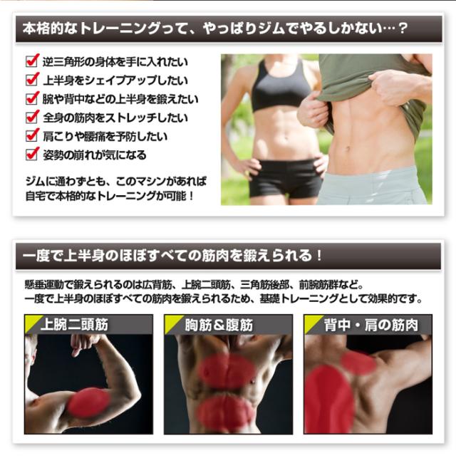 懸垂 器具 懸垂マシン Ex900t アルインコ 懸垂 トレーニング器具 ぶら下がり健康器 懸垂 ストレッチ 懸垂 筋トレマシン ホームジム ぶらの通販はau Pay マーケット アップタウン Uptown