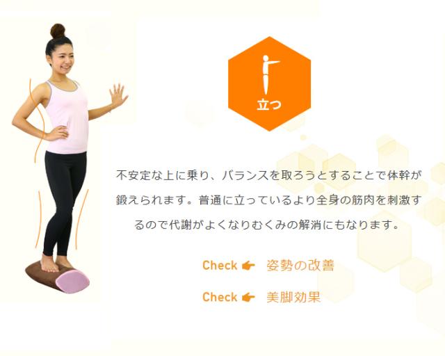 ダイエット器具 健康器具 体幹ダイヤモンドトレーナー  BTG-0100 体幹トレーニング バランス 体 幹 グッズ_5