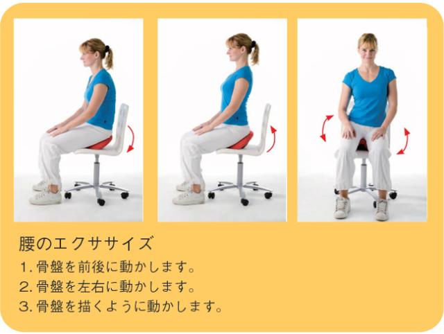 バランスシート HT-100【送料無料】【酒井医療】腰痛 クッション