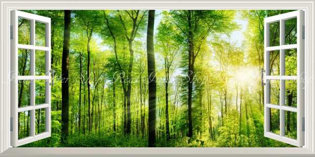 絵画風 壁紙ポスター 森林 パノラマ 森林浴 日光浴 陽射し 太陽 緑の森