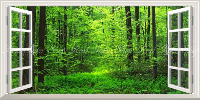 絵画風 壁紙ポスター 森林 森林浴 緑 目の保養 気分転換 癒し