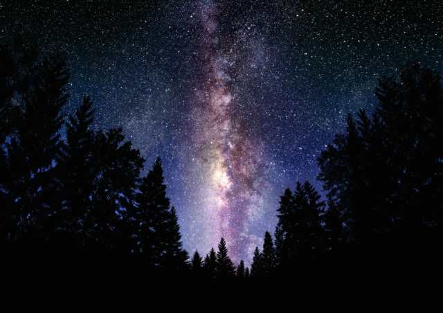 絵画風 壁紙ポスター 天の川銀河 森林 ミルキーウェイ 恒星 天体
