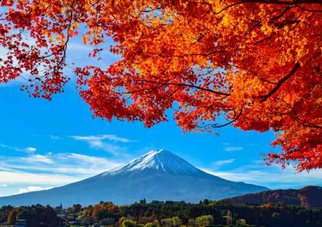 絵画風 壁紙ポスター 地球の撮り方 河口湖の紅葉まつりと富士山 日本の絶景 C Zjp 036a2 版 594mm 4mm の通販はau Pay マーケット レアルインターショップ Au Pay マーケット店