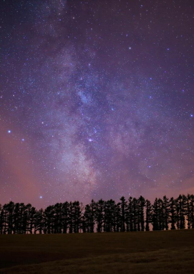 絵画風 壁紙ポスター 地球の撮り方 まるで北欧 美瑛町の風景 マイルドセブンの丘 北海道上川郡 C Zjp 060a2 版 4mm 594mm の通販はau Pay マーケット レアルインターショップ Au Pay マーケット店