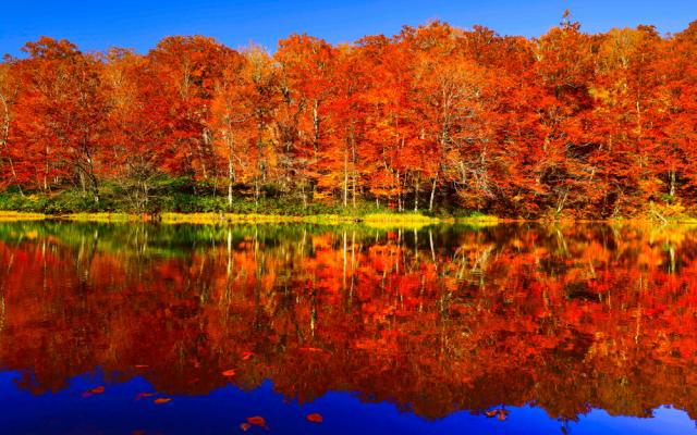 絵画風 壁紙ポスター 地球の撮り方 赤のシンメトリーの絶景 紅葉の蔦沼の朝焼け 青森県十和田市 日本の絶景 C Zjp 072w1 ワイド版 の通販はau Pay マーケット レアルインターショップ Au Pay マーケット店