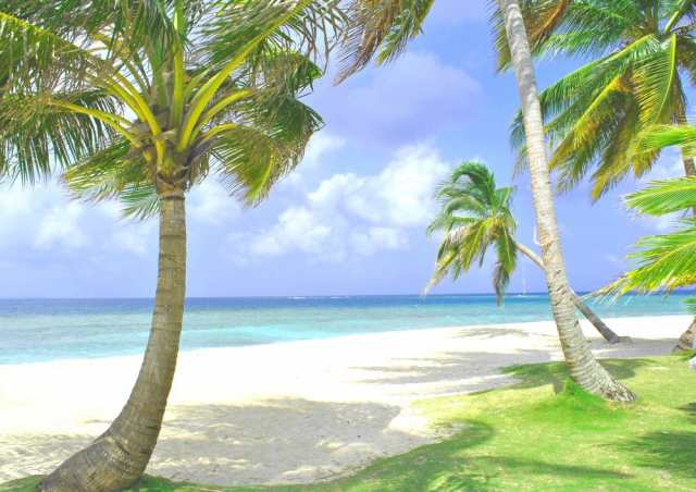 絵画風 壁紙ポスター ビーチ 砂浜 ヤシの木 カリブ海 楽園 海