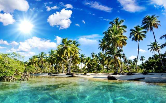 絵画風 壁紙ポスター 椰子のビーチ バリ島 ヤシの木と眩しい太陽 海