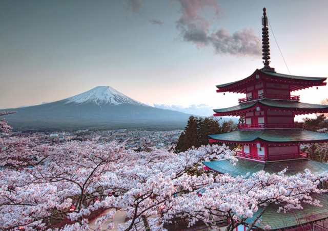 絵画風 壁紙ポスター 夜明けの桜富士 新倉山浅間公園の桜と五重の塔 富士山 さくら キャラクロ Fjs 040a2 版 594mm 4mm の通販はau Pay マーケット レアルインターショップ Au Pay マーケット店