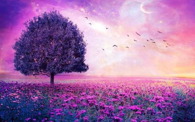 絵画風 壁紙ポスター 紫の花畑と幻想的な風景 パープル サンセット