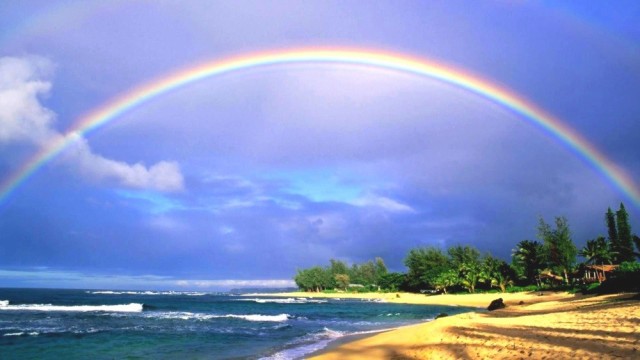 絵画風 壁紙ポスター 南国のビーチと虹のハーモニー ハワイ 波 虹