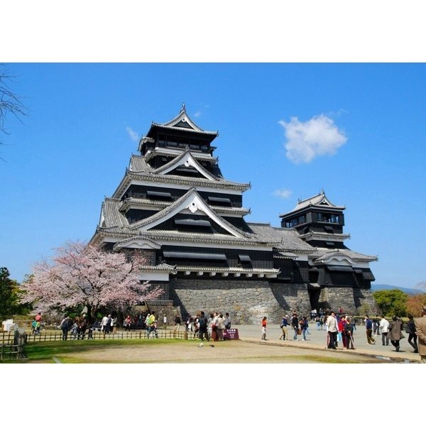 絵画風 壁紙ポスター はがせるシール式 熊本城 さくら 銀杏城 日本三大名城 キャラクロ Kmj 001a1 A1版 0mm 585mm 日本製 ウの通販はau Pay マーケット レアルインターショップ Au Pay マーケット店