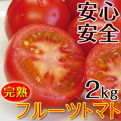 ふみこ農園 こだわりフルーツトマト2kg（送料無料）匠の里紀州 假家英明が育てる減農薬・減化学肥料栽培、土作りにこだわり抜いた安心安全なトマトの通販は