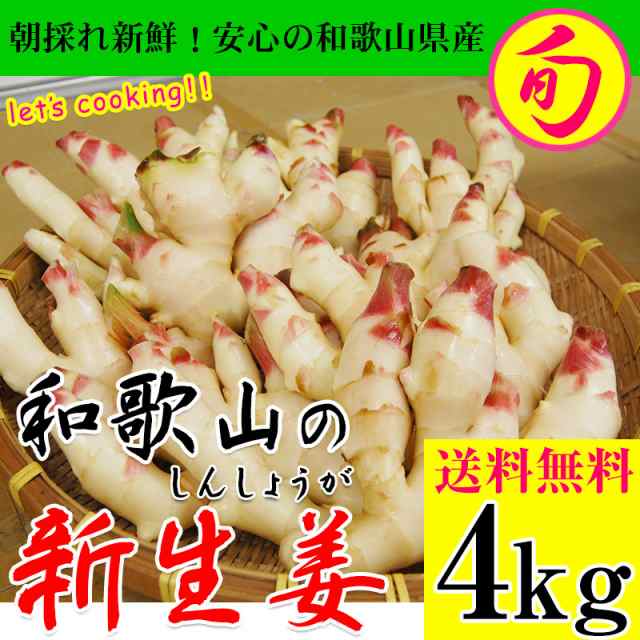 1194円 正規逆輸入品 しょうが 和歌山産 新しょうが 4kg 送料無料 食品