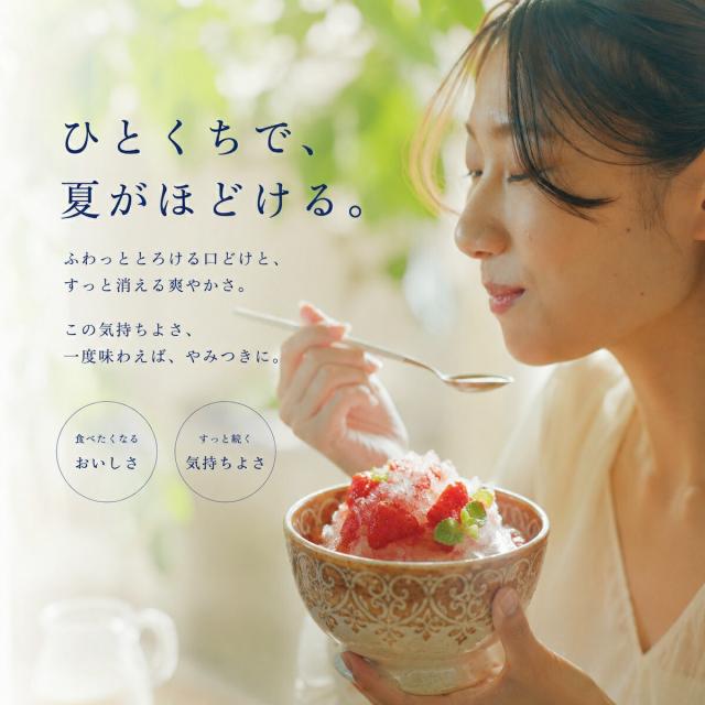 【Vita Craft 正規品】ビタクラフト 電動かき氷器 スノーフレーク ふわふわかき氷器 ふわふわ かき氷 製氷カップ 2個付き 3つの食感が楽しめる 家庭 コードレス USB充電式 持ち運び 軽量 ワンタッチ さらさら シャリシャリ かき氷機 電動かき氷機 ブラック VC-SI001BK_7