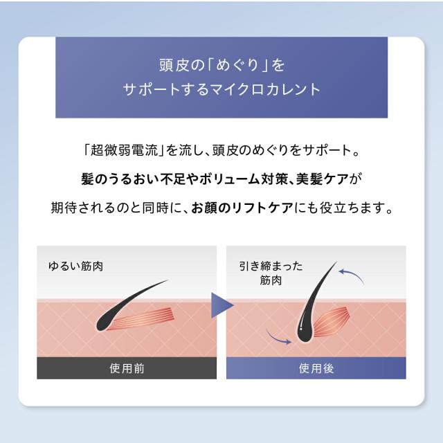WAVEWAVE EMS Brush Air mini EMSクッションブラシ ブラシ コンパクト 櫛 持ち運び 旅行 携帯 リフトケア 頭皮ケア 多機能ブラシ クッションブラシ マイクロカレント マイナスイオン バイブレーション LED 送料無料 ギフト 母の日_18