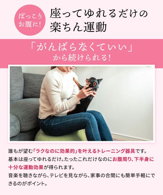 エクササイズ プフ フィットネス の人気商品一覧・価格比較 - 価格 com