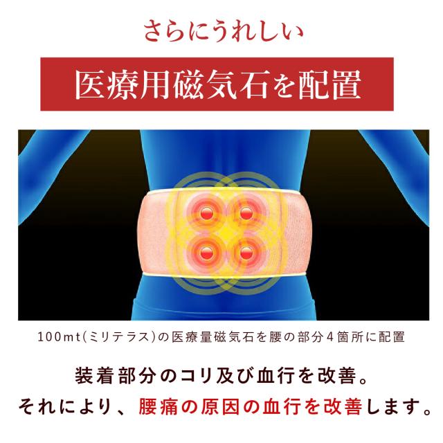 腰枕 腰まくら コリとる 磁気 腰 腰用 腰専用 枕 まくら 腰痛 安眠