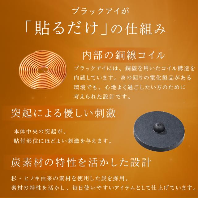 丸山式コイル ブラックアイ 6個入り 電磁波防止 電磁波対策 一般医療