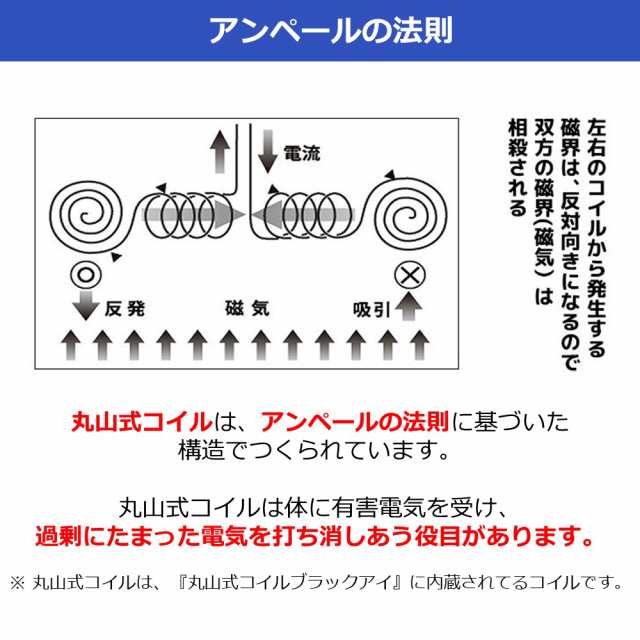 ブラックアイ ガイアスネックレス 電磁波対策 電磁波 丸山式 電磁波 