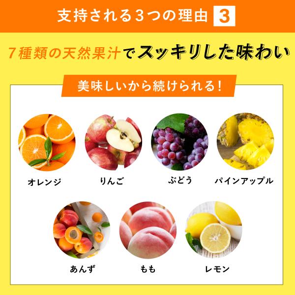 イムダイン ファステンクラブ FASTEN club 2日間でOK 断食 セット