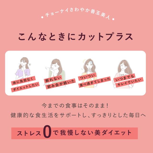 カットプラス 1000 レスベラC 2.2g×30包 お得な2個セット ダイエット サプリメント C-5100株 乳酸菌 レベストラトール ビタミンC 腸内環境 腸内フローラ 腸活 サプリ 送料無料_4