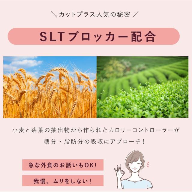 カットプラス 1000 レスベラC 2.2g×30包 お得な2個セット ダイエット サプリメント C-5100株 乳酸菌 レベストラトール ビタミンC 腸内環境 腸内フローラ 腸活 サプリ 送料無料_6