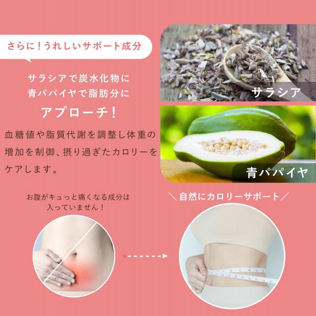 カットプラス 1000 レスベラC 2.2g×30包 お得な2個セット ダイエット サプリメント C-5100株 乳酸菌 レベストラトール ビタミンC 腸内環境 腸内フローラ 腸活 サプリ 送料無料_7