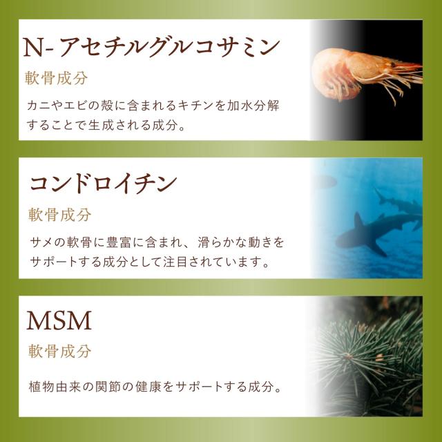 足裏シート 樹液シート 寝てるま〜に グルコサミンシート 50枚入