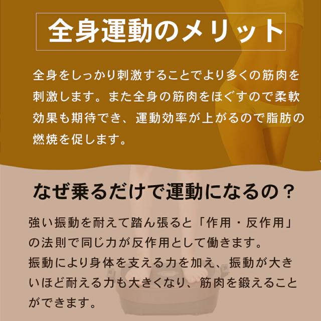 【オマケ付き】LIFEFIT ライフフィット 2wayトレーナースマート 2WAY Fit016 振動 ダイエット 健康器具 運動器具 フィットネス トレーニング エクササイズ 脚 足 お腹 お尻 足腰 美脚 下半身 上半身 背中 インナーマッスル 筋トレ ストレッチ 室内 脂肪燃焼 宅トレ