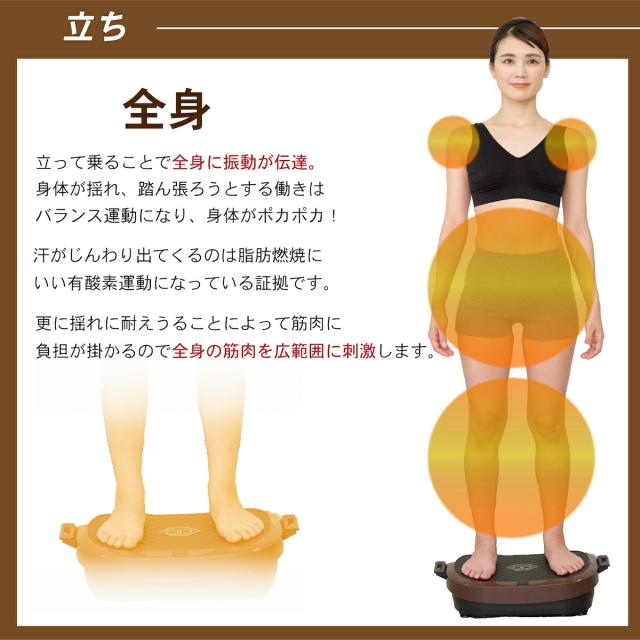 【オマケ付き】LIFEFIT ライフフィット 2wayトレーナースマート 2WAY Fit016 振動 ダイエット 健康器具 運動器具 フィットネス トレーニング エクササイズ 脚 足 お腹 お尻 足腰 美脚 下半身 上半身 背中 インナーマッスル 筋トレ ストレッチ 室内 脂肪燃焼 宅トレ