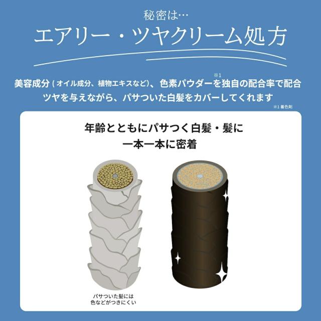 白髪隠し ファンデーション TAKAKO ヘアファンデーション レフィル