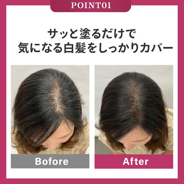 白髪隠し ファンデーション TAKAKO ヘアファンデーション レフィル