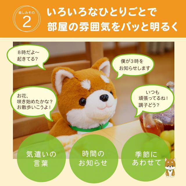 しばいぬ コウタ バンダナ付 こんにちワン！しばいぬコウタ バンダナ