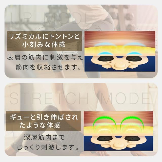 mysé EMS美顔器 MS-60N ヤーマン ミーゼ スパトレーナー MS-60N お風呂 ジム アクア
