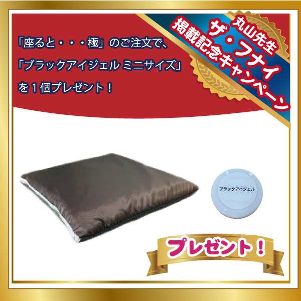 【10/31まで ブラックアイジェルミニ プレゼント】座ると・・・極 （きわみ）約35cm×35cm リバーシブル 座布団 座ると…極 テラヘルツ・