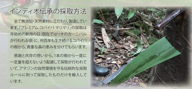 プレミアム コパイバ マリマリ 20ml 2本セット コパイバ マリマリの