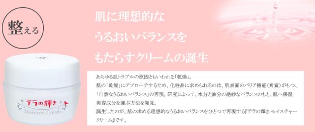 当日/翌日配送 テラの輝き モイスチャークリーム詰替パウチ400g 1袋