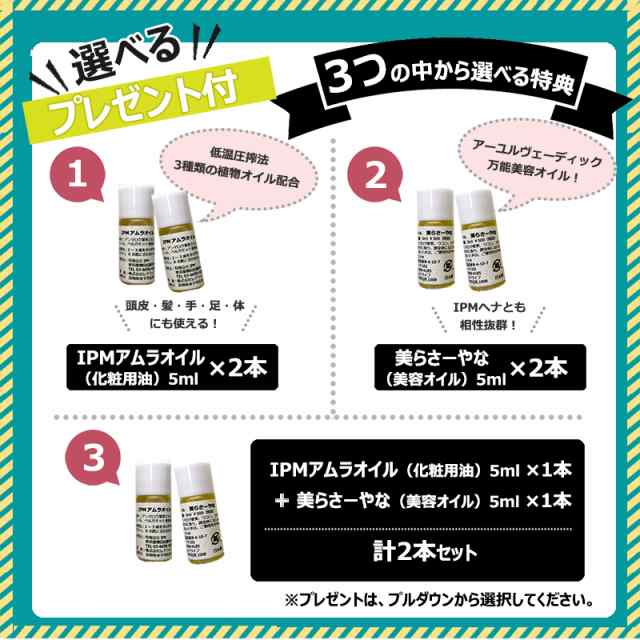 半価直販 IPMヘナ 2種類セット100g 新品・送料無料 - ヘアケア