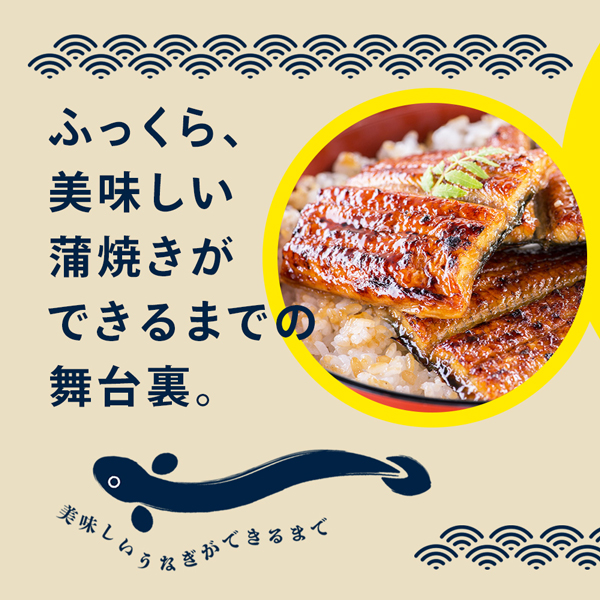 国産 うなぎ 蒲焼き たっぷり食べる 福袋 うなぎ屋かわすい 長焼き4本ときざみ大盛り 2食 鰻 ウナギ 詰め合わせ 大容量 土用丑 誕生日プレゼント 爆買_5
