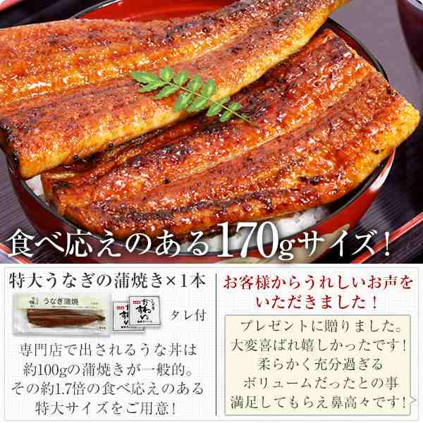 ギフト セット 国産 うなぎ 蒲焼き 特大170g1本と肝吸い1食 送料無料