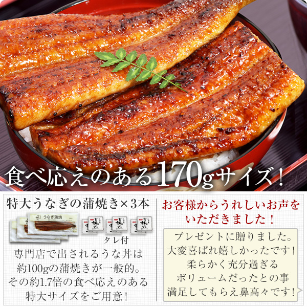 ギフト セット 国産 うなぎ 蒲焼き 特大170g×3本 送料無料 化粧箱 ギフトセット 鰻 ウナギ 御礼 御祝 お見舞い 贈答 結婚 出産 内祝 お見舞 プレゼント 高級 贅沢 お取り寄せ 土用丑  母の日 父の日 お母さん お父さん お誕生日_2