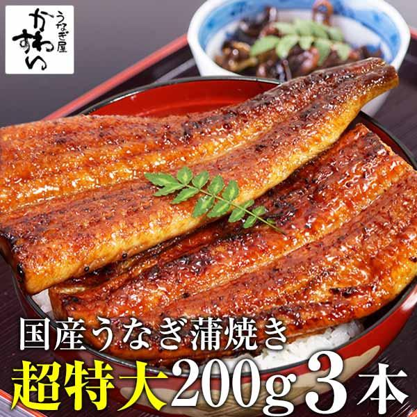 国産 うなぎ 蒲焼き 超特大200g×3本 送料無料 タレ付 山椒別売り ウナギ 鰻 蒲焼 国産うなぎ 贈り物 ギフト お取り寄せ グルメ 冷凍 　保存食 結婚 出産 見舞 祝 礼 快気 誕生日 内祝  土用丑 dgpcpの通販は