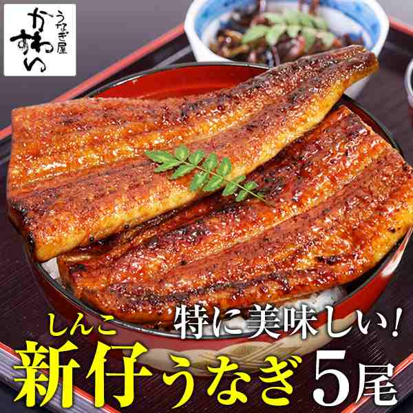 【今が旬のうなぎ】国産 うなぎ蒲焼き 新仔 特大170g×5本 送料無料 たれ付き 山椒別売り 期間限定 国産うなぎ 蒲焼き 国産 新仔 うなぎ