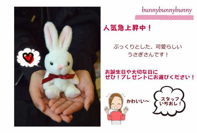 Bunnybunnybunny うさ束5匹 うさブーケ うさぎ バニー ラビット プレゼント 誕生日 結婚祝い 発表会 記念日 入学 卒業祝い くまたば ぬいの通販はau Pay マーケット Flowerstyle