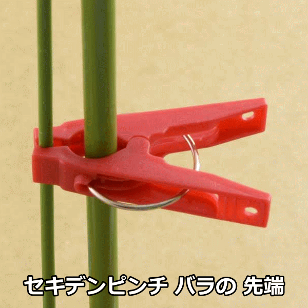 セキデン PR-2 セキデンピンチ バラ 1000個 同色_2